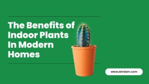 Read more about the article The Benefits of Indoor Plants in Modern Homes
