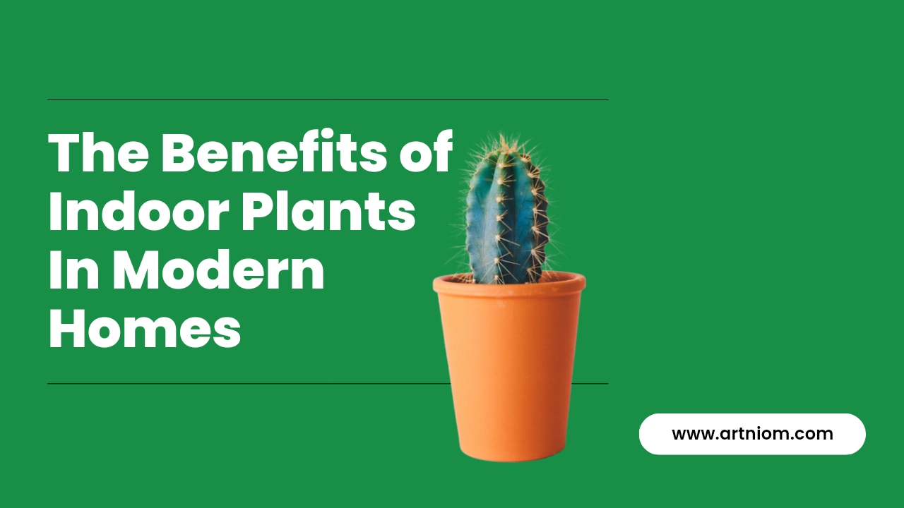 You are currently viewing The Benefits of Indoor Plants in Modern Homes